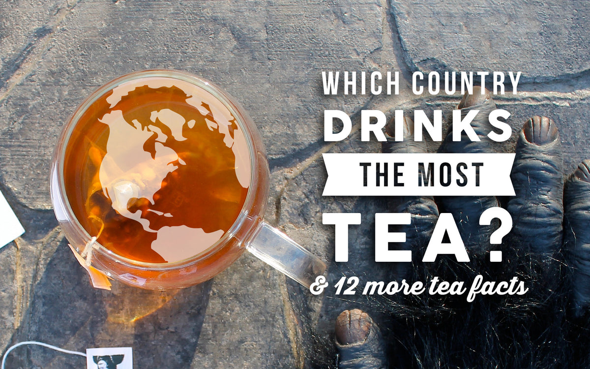 Which Country Drinks the Most Tea? + 12 More Tea Facts Wise Ape
