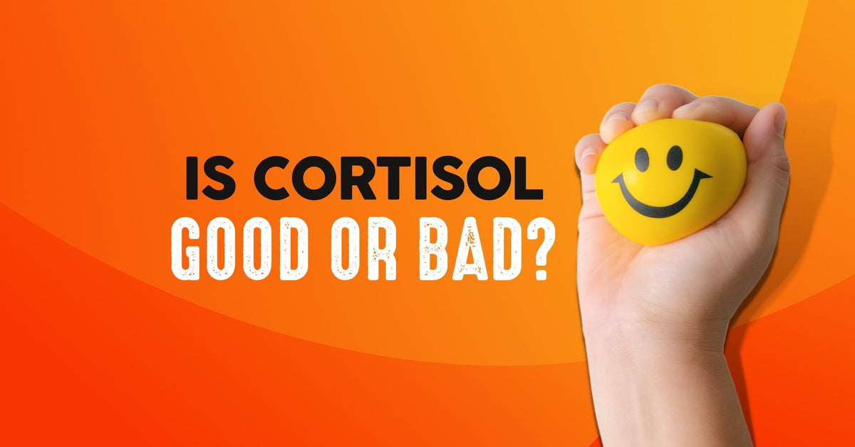 What Is Cortisol? And Is Cortisol Good or Bad? Wise Ape