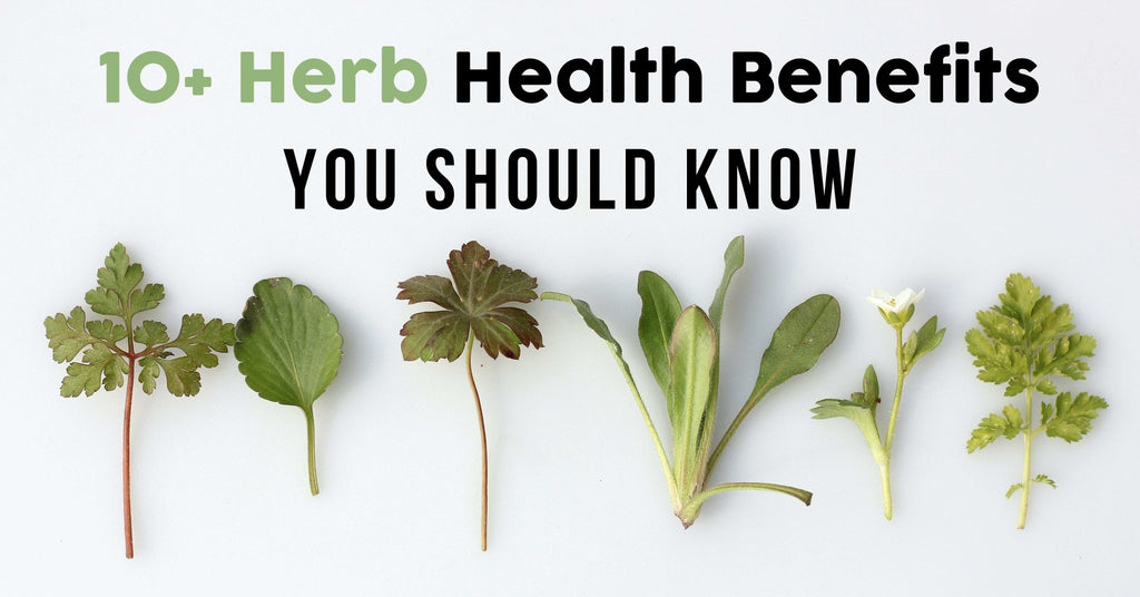 10+ Ways Herbs Boost Your Health (and How to Grow Them)
