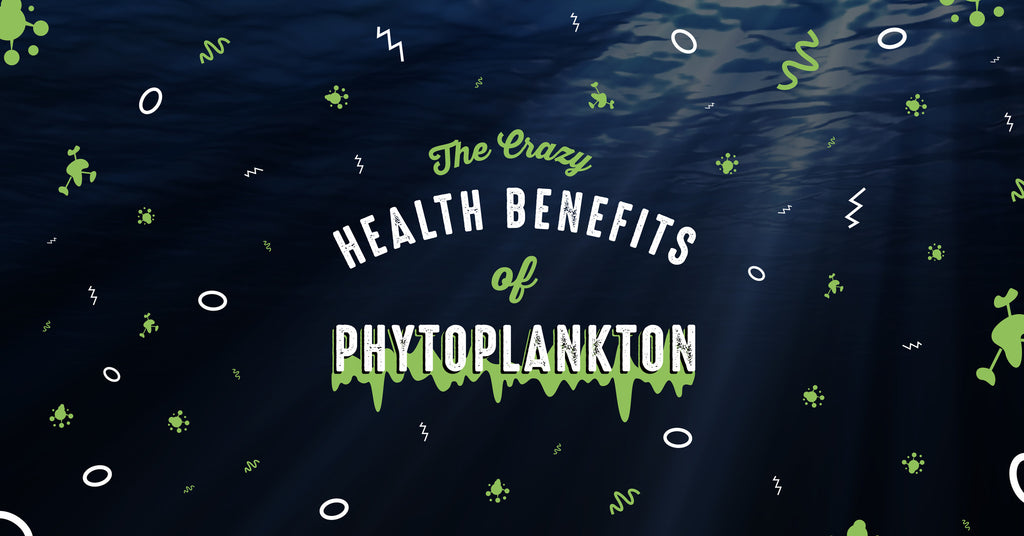 Phytoplankton Benefits