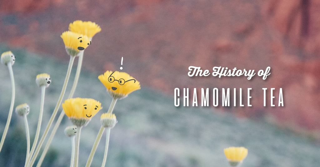 The History of Chamomile Tea