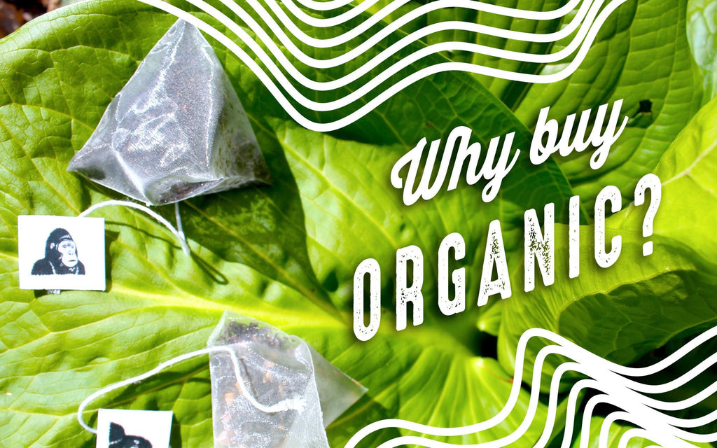 Why Buy Organic Tea?