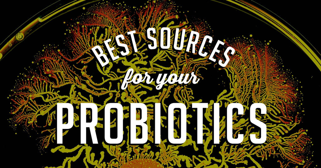 What is the Best Source of Probiotics?