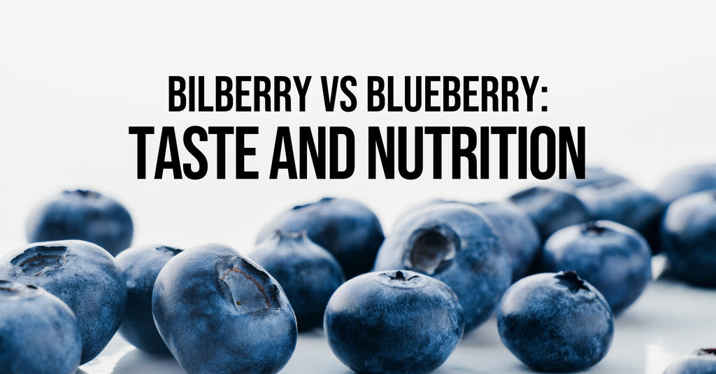 Bilberries vs Blueberries Taste and Nutrition