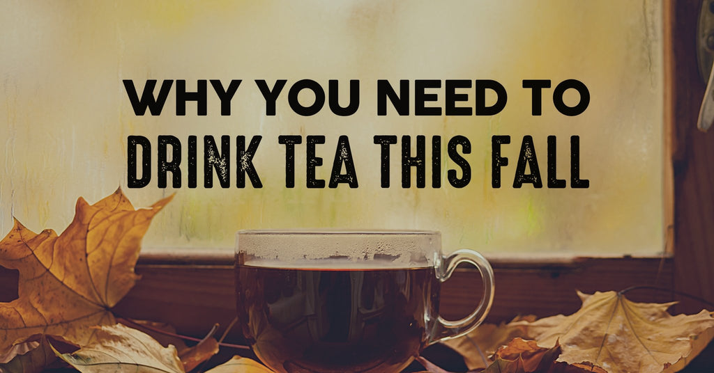 5 Reasons Why You Need to Drink Tea This Fall