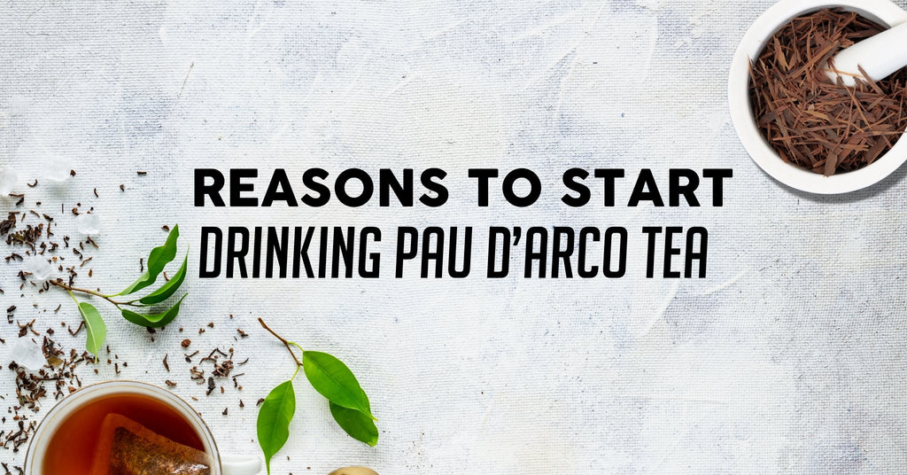 5 Reasons To Start Drinking Pau D’Arco Tea