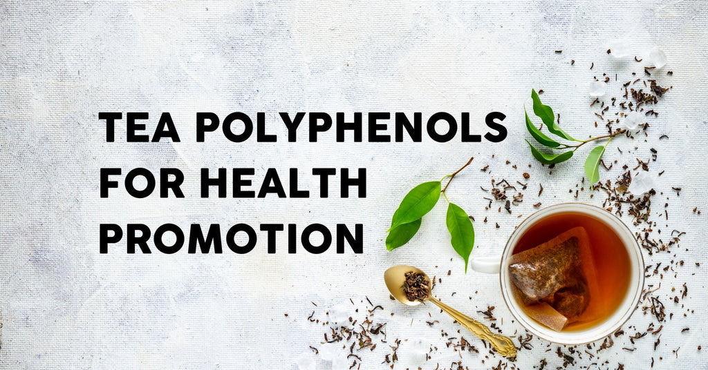 How The Polyphenol Content and Antioxidant Effects In Tea Can Aid Gut Health