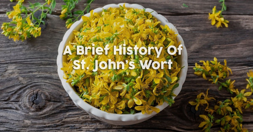 A Brief History of St. Johns Wort