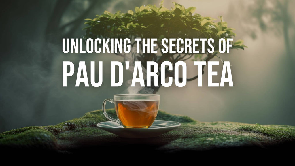 Pau D'Arco tea benefits, Pau D'Arco uses, and best Pau D'Arco tea - Unlocking secrets and exploring top health advantages.